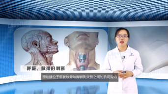 视频课程